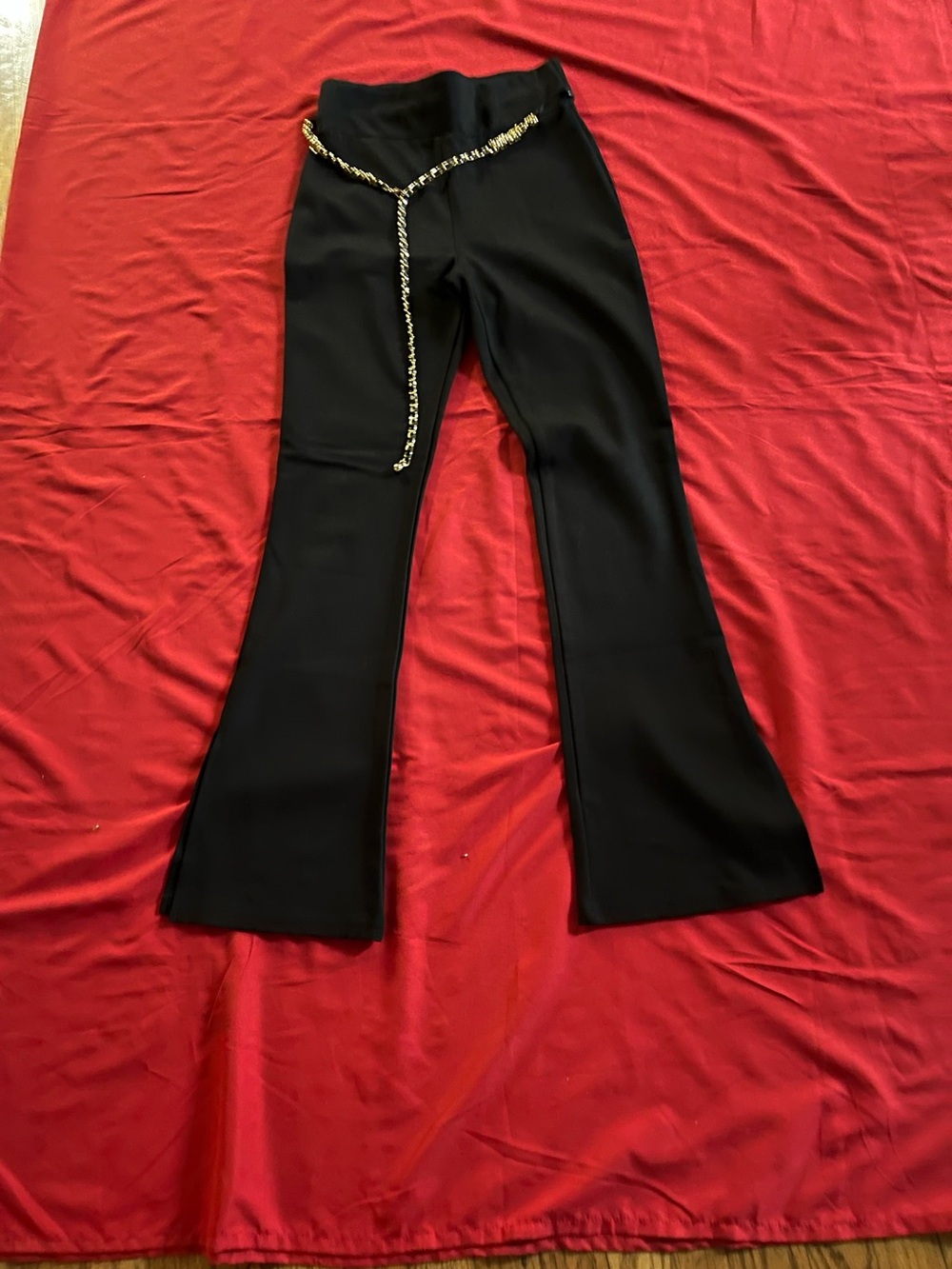 Alice Blue Black Flare Pants with Chain Accent